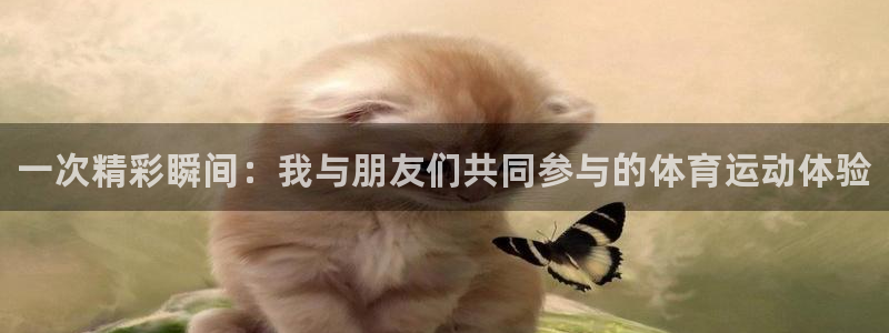 yy易游官网下载是干嘛的公司:一次精彩瞬间:我与朋友们共同参