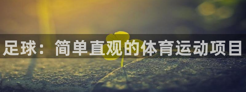 yy易游官方正版app集团官网首页网址:足球:简单直观的体育