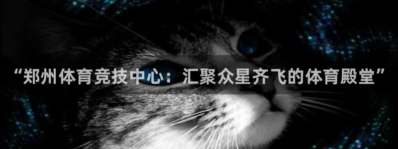 yy易游官方正版app娱乐平台:“郑州体育竞技中心:汇聚众星