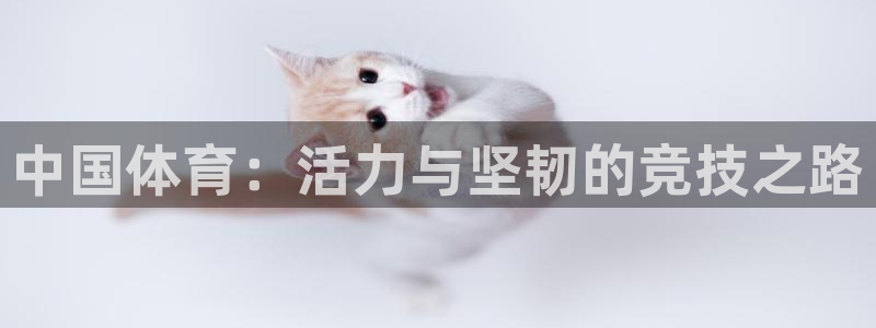 yy易游官网下载平台APP:中国体育:活力与坚韧的竞技之路