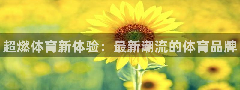 yy易游官网下载招商电话号码查询:超燃体育新体验:最新潮流的