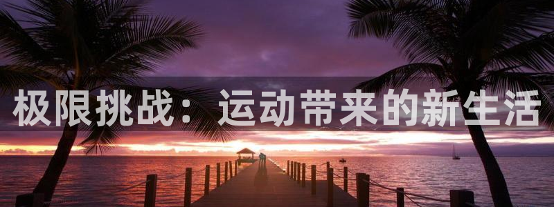 yy易游官方正版app新能源:极限挑战:运动带来的新生活